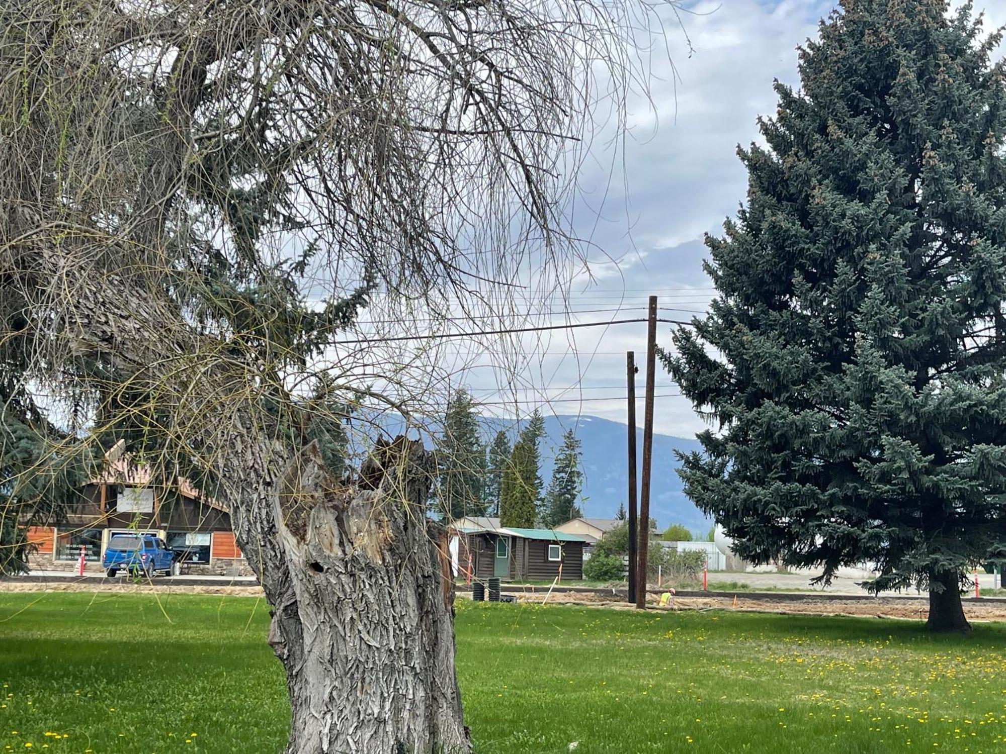 Kootenai Valley Motel Бонърс Фери Екстериор снимка
